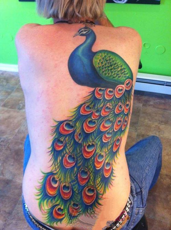 点击大图看下一张：色彩艳丽的孔雀纹身图案