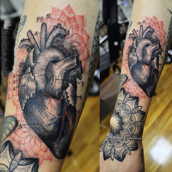 点击大图看下一张：心脏纹身图案   多款彩绘的心脏纹身图案
