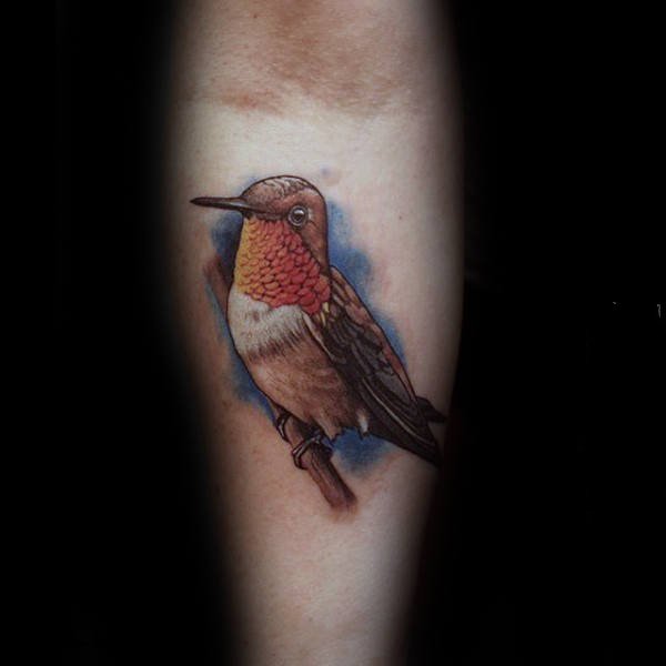 点击大图看下一张：纹身鸟   栩栩如生的蜂鸟纹身图案