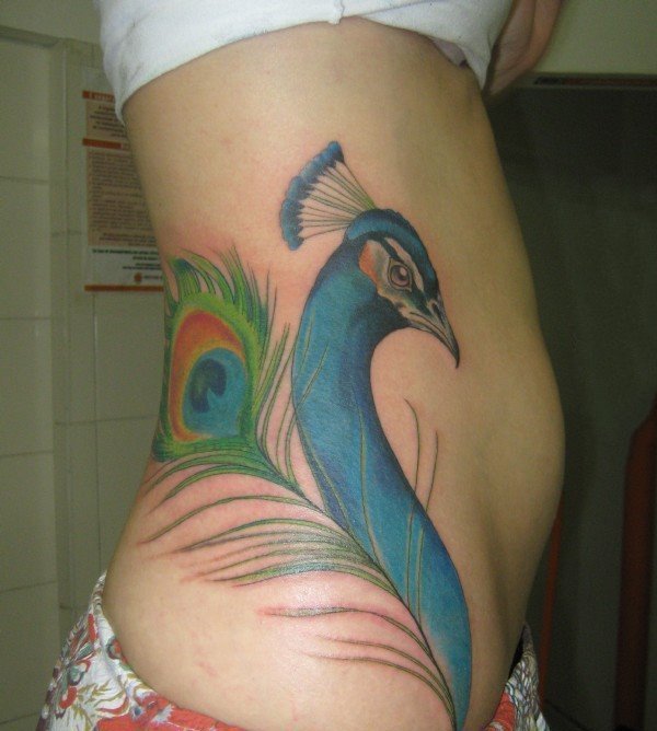点击大图看下一张：孔雀纹身图片   色彩绚丽的孔雀纹身图案