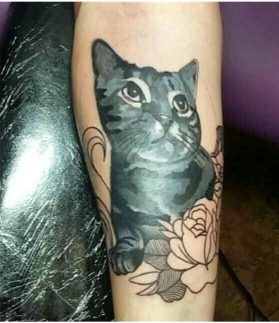 点击大图看下一张：小猫咪纹身   多款时尚而又可爱的小猫咪纹身图案