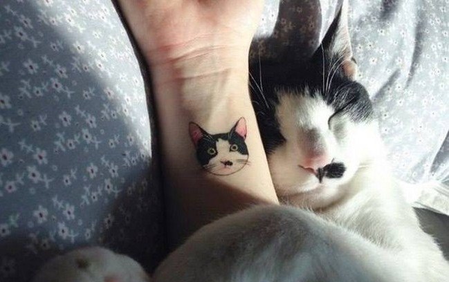 点击大图看下一张：小猫咪纹身   多款时尚而又可爱的小猫咪纹身图案