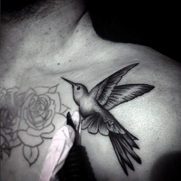 点击大图看下一张：纹身鸟  娇小可爱的蜂鸟纹身图案