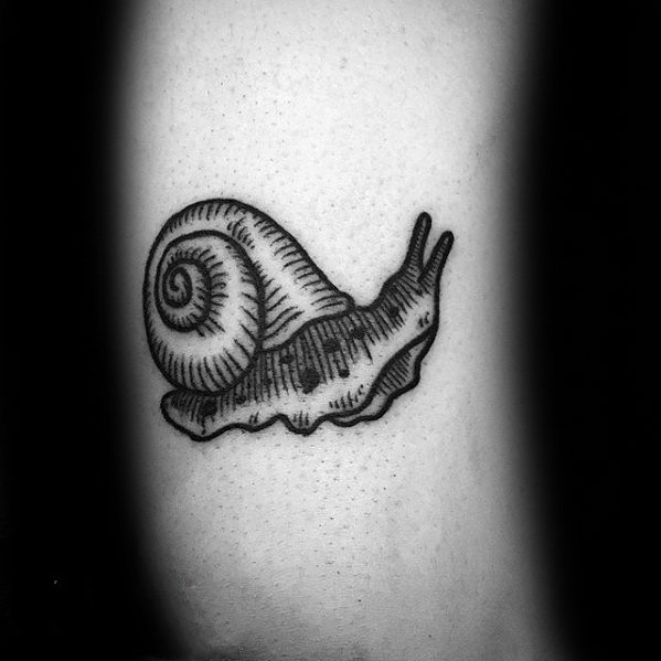 点击大图看下一张：蜗牛纹身图案   行动缓慢的蜗牛纹身图案