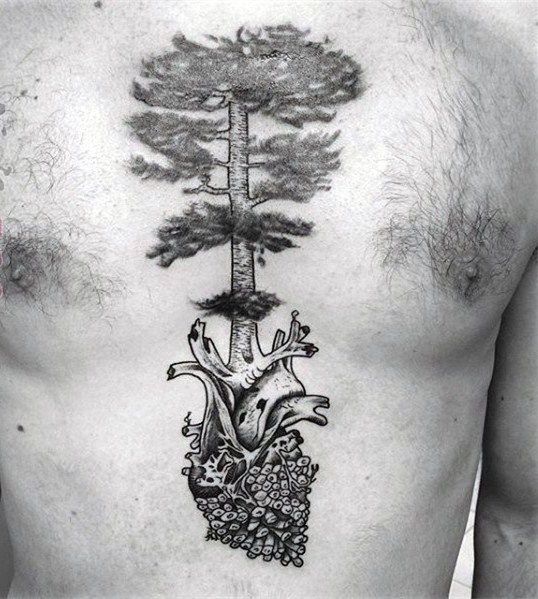 点击大图看下一张：植物纹身   创意而又小巧的松果纹身图案
