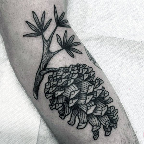 点击大图看下一张：植物纹身   创意而又小巧的松果纹身图案
