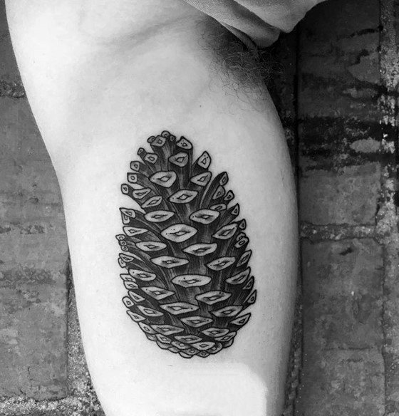 点击大图看下一张：植物纹身   坚硬小巧的松果纹身图案