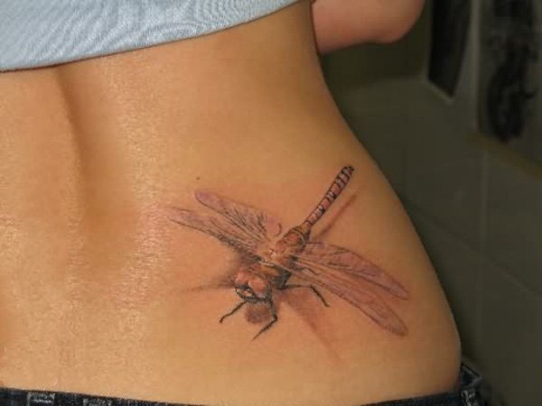 点击大图看下一张：蜻蜓纹身图案   唯美典雅的蜻蜓纹身图案