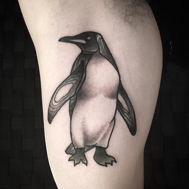 点击大图看下一张：企鹅纹身图   呆萌的企鹅纹身图案