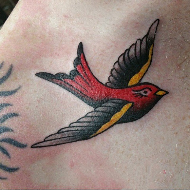 点击大图看下一张：纹身鸟   自由翱翔的燕子纹身图案