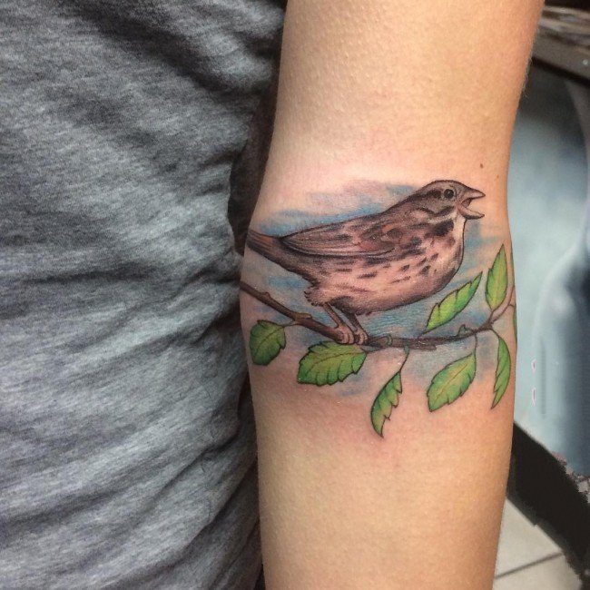 点击大图看下一张：纹身鸟   自由翱翔的燕子纹身图案