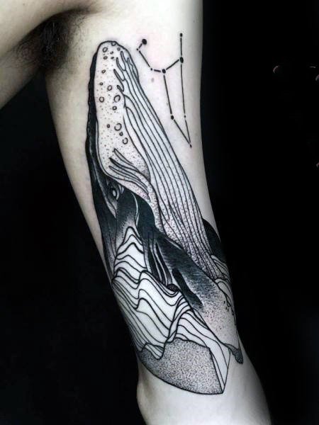 点击大图看下一张：纹身鲸鱼  多款黑灰色的鲸鱼纹身图案