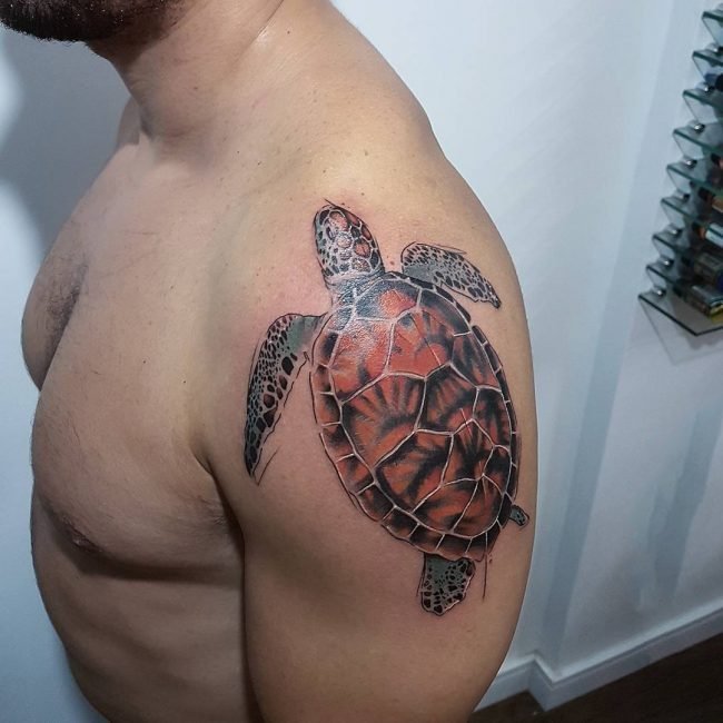 点击大图看下一张：乌龟纹身图案   多款时尚的乌龟纹身图案