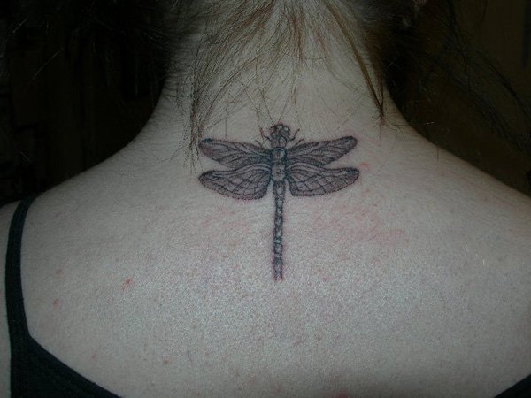点击大图看下一张：蜻蜓纹身图案    体态轻盈的蜻蜓纹身图案