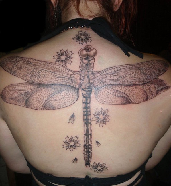 点击大图看下一张：蜻蜓纹身图案    体态轻盈的蜻蜓纹身图案