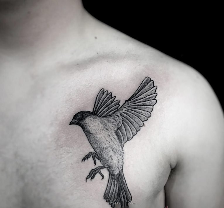 点击大图看下一张：纹身鸟  羽翼丰满的鸟纹身图案