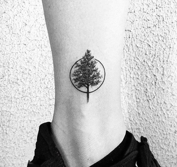 点击大图看下一张：纹身树木的图像   郁郁葱葱的树木图像纹身图案
