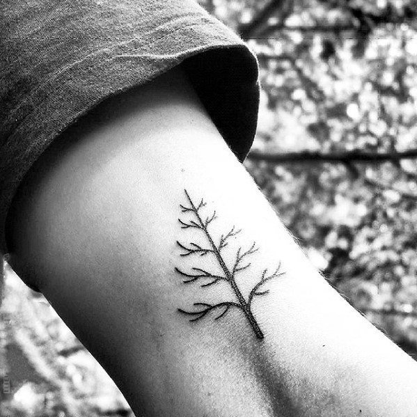 点击大图看下一张：纹身树木的图像   郁郁葱葱的树木图像纹身图案