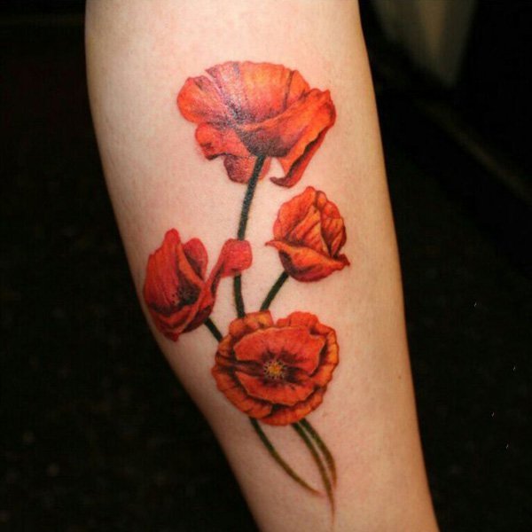 点击大图看下一张：罂粟花纹身图片   美丽却致命的罂粟花纹身图案
