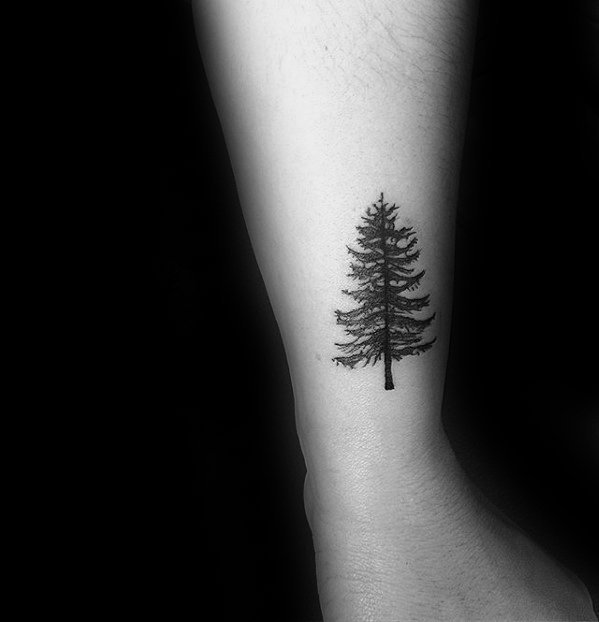 点击大图看下一张：纹身树木的图像   生机勃勃的树木纹身图案