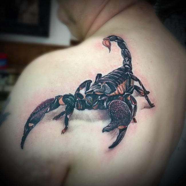 点击大图看下一张：蝎子图片纹身   毒性十足的蝎子纹身图案
