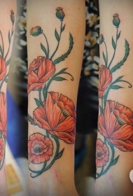 罂粟花纹身图片  娇艳而又迷人的罂粟花纹身图案