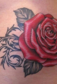 玫瑰纹身图   娇艳多姿的玫瑰纹身图案