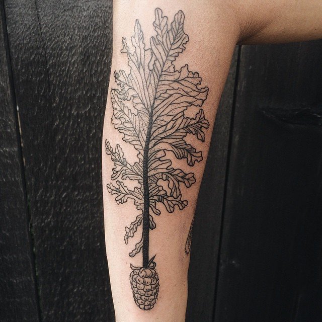 点击大图看下一张：纹身植物图案  生机盎然的植物纹身图案