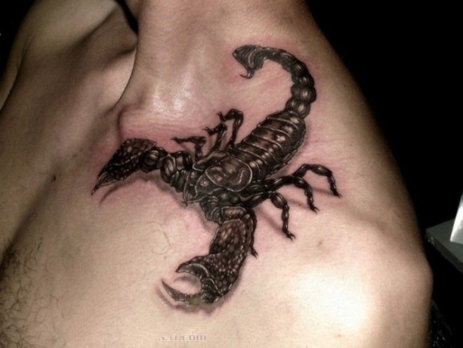 点击大图看下一张：蝎子图片纹身  气势逼人的蝎子纹身图案