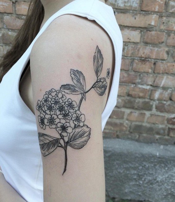 点击大图看下一张：纹身图案花朵  唯美而又靓丽的花朵纹身图案