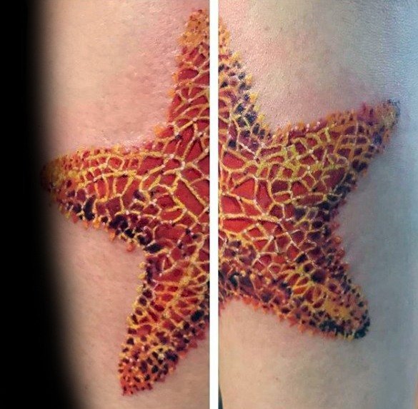 点击大图看下一张：小动物纹身  身姿柔软的海星纹身图案