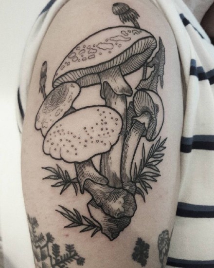 点击大图看下一张：蘑菇纹身图案_9张黑灰蘑菇纹身图案刺青图片作品