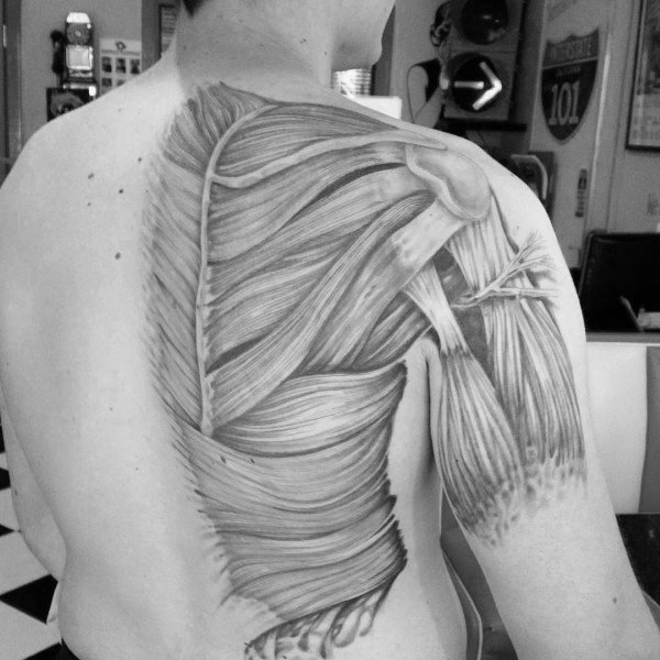 点击大图看下一张：纹身黑色  纹路细腻的解剖纹身图案