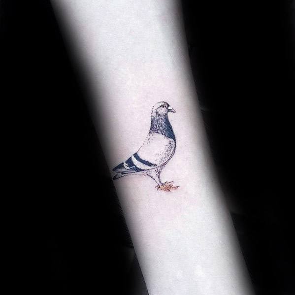 点击大图看下一张：鸽子纹身   形式多变的鸽子纹身图案