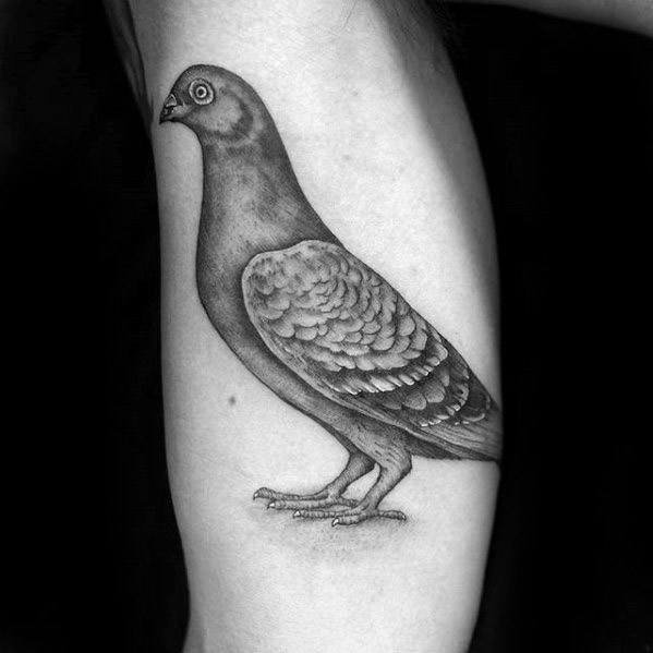 点击大图看下一张：鸽子纹身   形式多变的鸽子纹身图案