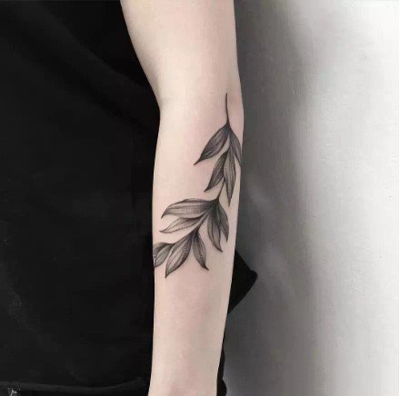 点击大图看下一张：植物纹身-寻找一张属于自己的清新纹身图片
