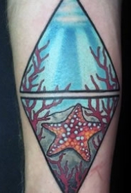 海星纹身图案_9张动物海星纹身图案作品