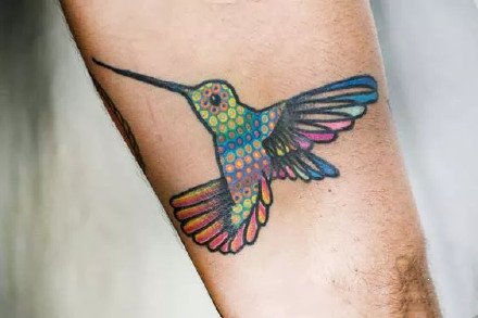 点击大图看下一张：蜂鸟纹身图案-9张彩色的蜂鸟纹身图片