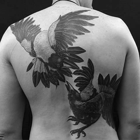 点击大图看下一张：喜鹊纹身--11张男士各部位的黑色喜鹊纹身图案