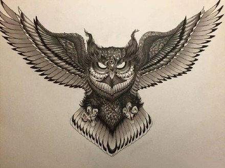 点击大图看下一张：几张猫头鹰花胸纹身图案和手稿欣赏