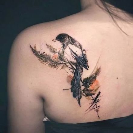 点击大图看下一张：几张飘逸灵动的水彩燕子等鸟类纹身图案作品