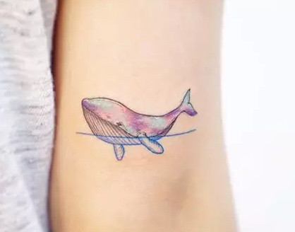 点击大图看下一张：萌萌的鲸鱼纹身--适合女生的小清新鲸鱼纹身图案作品