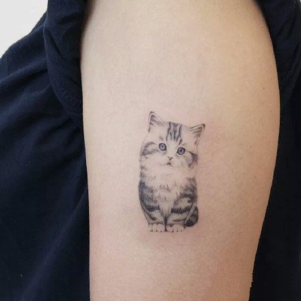 点击大图看下一张：猫纹身作品--9张把宠物猫纹在身上的纹身图案作品