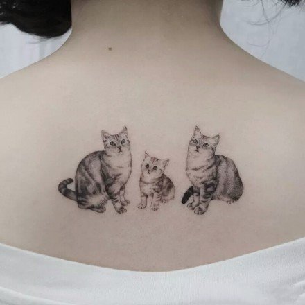 点击大图看下一张：猫纹身作品--9张把宠物猫纹在身上的纹身图案作品