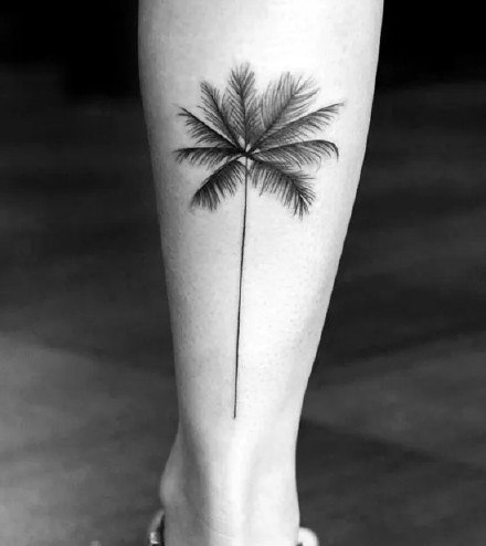 点击大图看下一张：椰子树纹身图--9张简约的黑色椰子树纹身图案作品