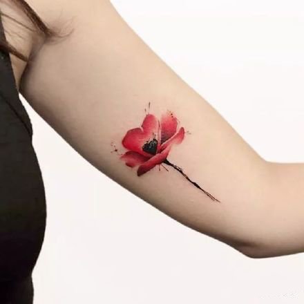 点击大图看下一张：罂粟花纹身图--几张红色艳丽的唯美罂粟花纹身图案作品