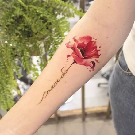 点击大图看下一张：罂粟花纹身图--几张红色艳丽的唯美罂粟花纹身图案作品