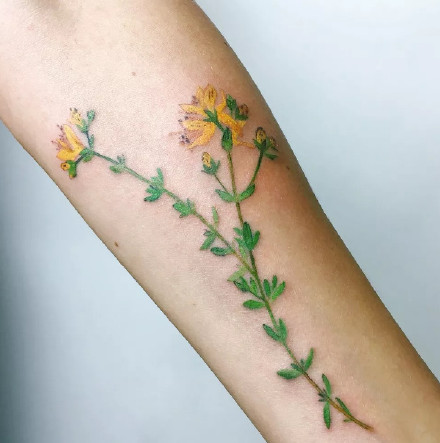 点击大图看下一张：植物纹身图-一组把植物纹在身上的纹身图案作品