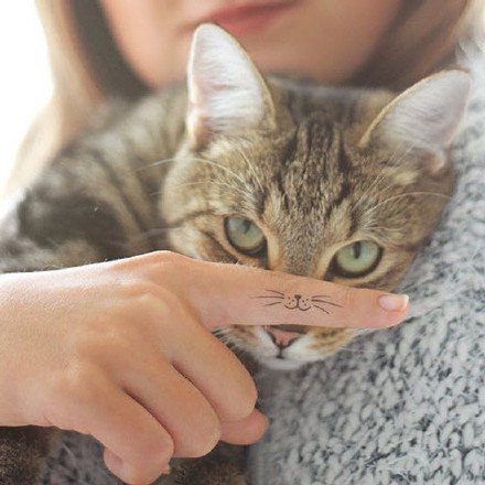 点击大图看下一张：一组适合爱猫人士的宠物猫的纹身图案作品