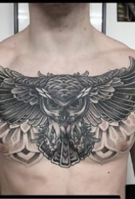 几张猫头鹰花胸纹身图案和手稿欣赏